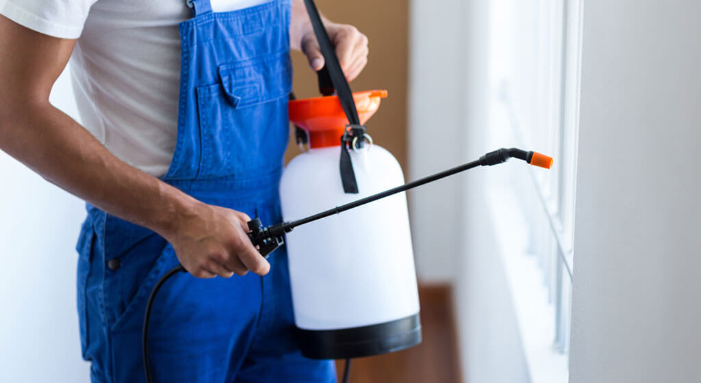 Ridit Man Spraying